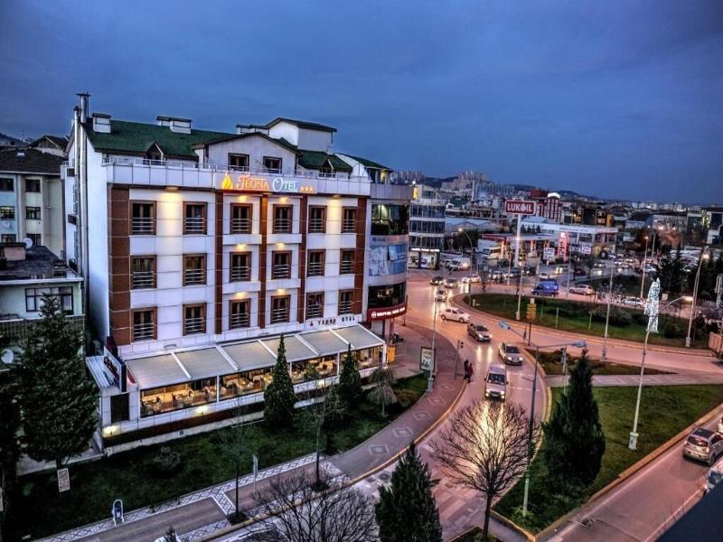 Teona Otel image