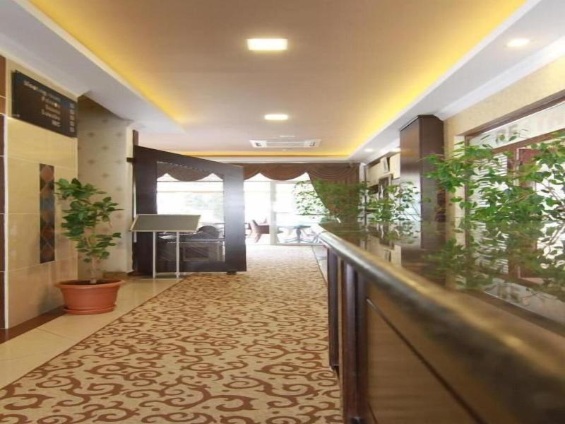 Teona Otel image