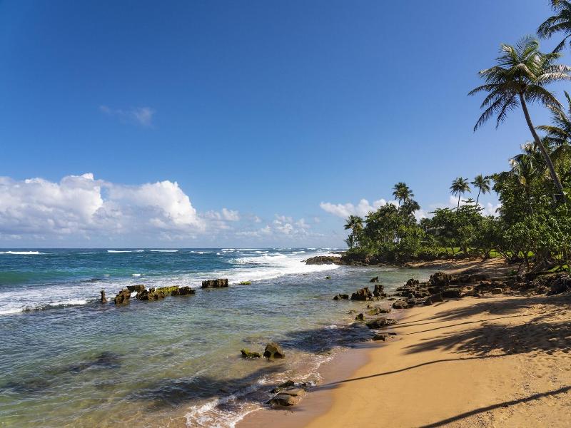 Dorado Beach A Ritz-Carlton Reserve image