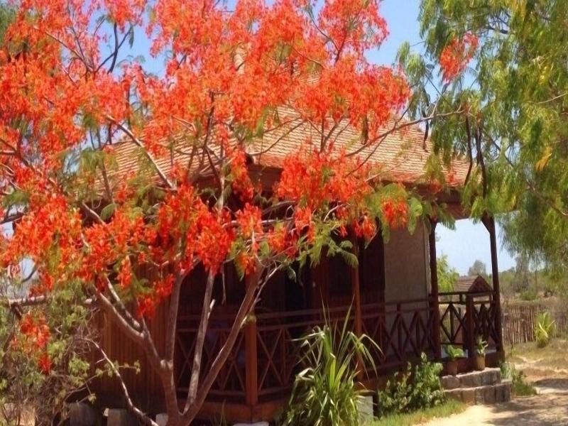 Kimony resort Hotel