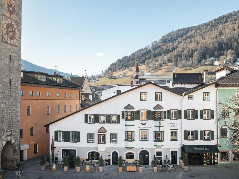 Schwarzer Adler Aquila Nera image