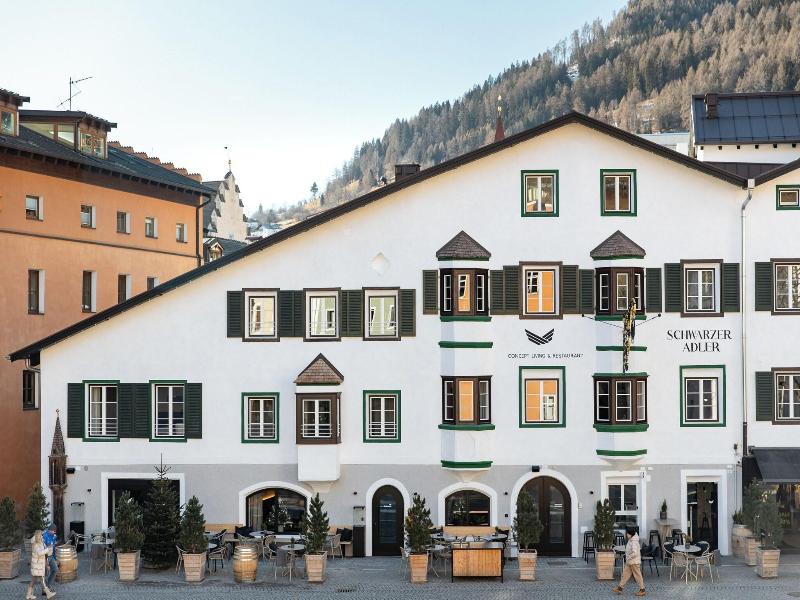 Schwarzer Adler Aquila Nera image