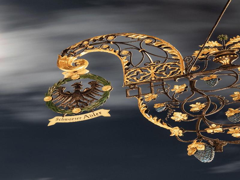 Schwarzer Adler Aquila Nera image