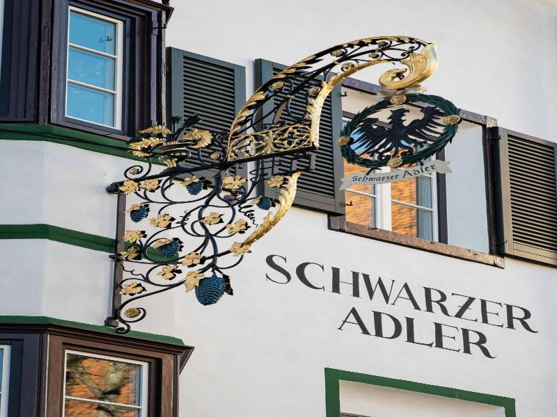 Schwarzer Adler Aquila Nera image