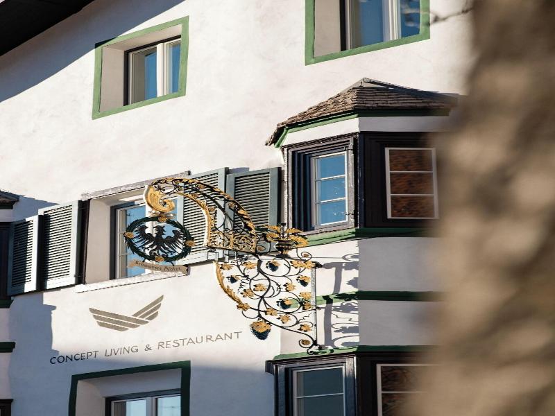 Schwarzer Adler Aquila Nera image