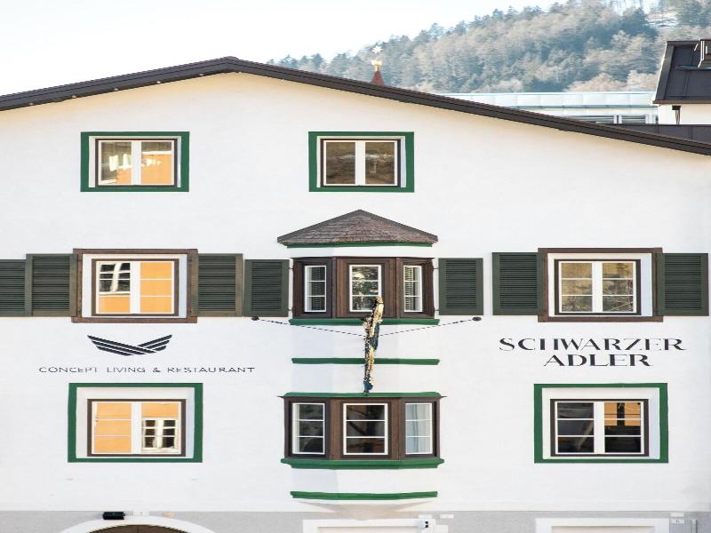 Schwarzer Adler Aquila Nera image