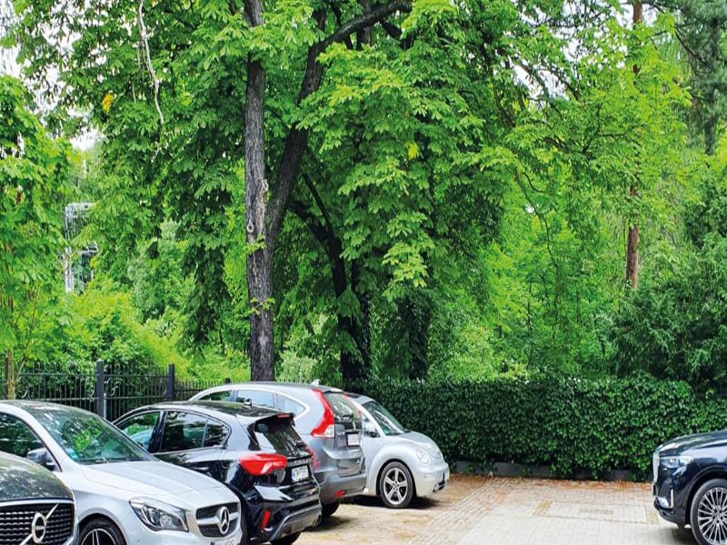 Villa Antonina image