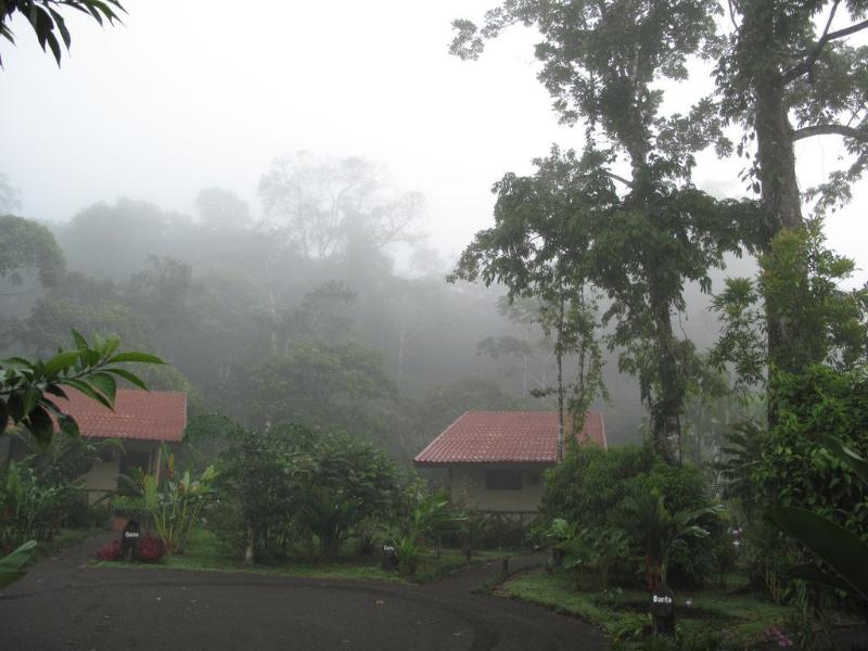 Maquenque Eco lodge image