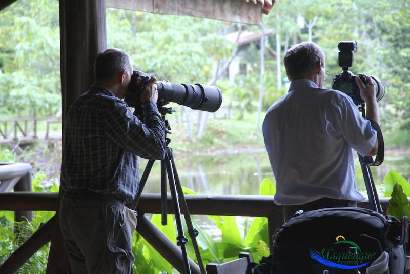 Maquenque Eco lodge image