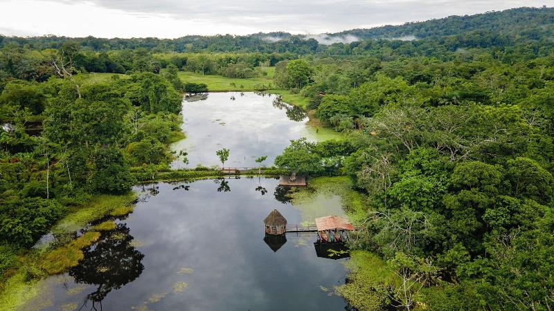 Maquenque Eco lodge image