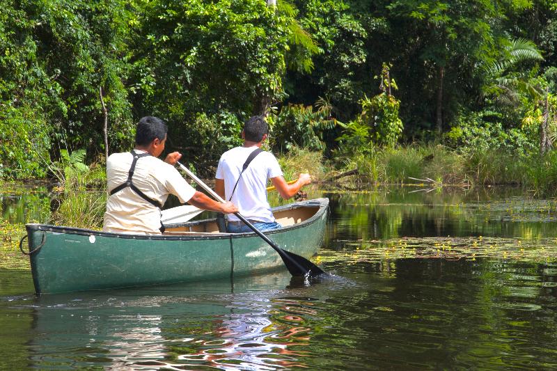 Maquenque Eco lodge image