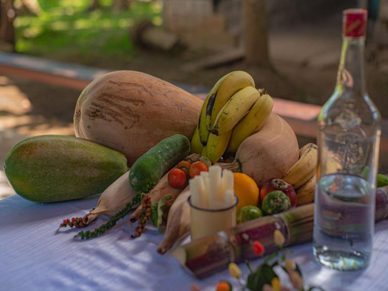 Maquenque Eco lodge image