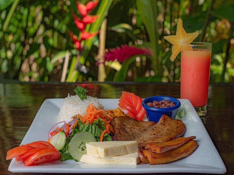 Maquenque Eco lodge image