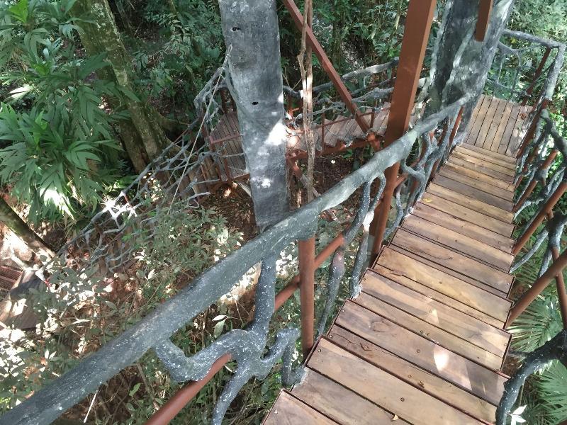 Maquenque Eco lodge image