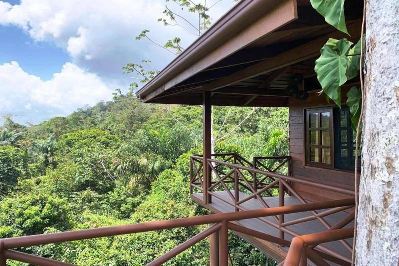 Maquenque Eco lodge image