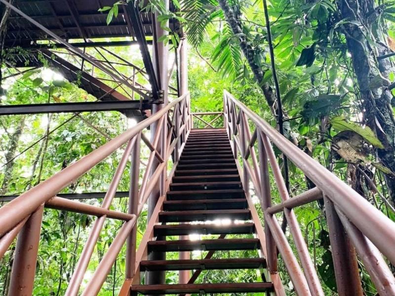 Maquenque Eco lodge image