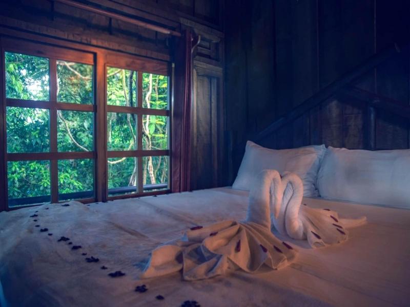 Maquenque Eco lodge image