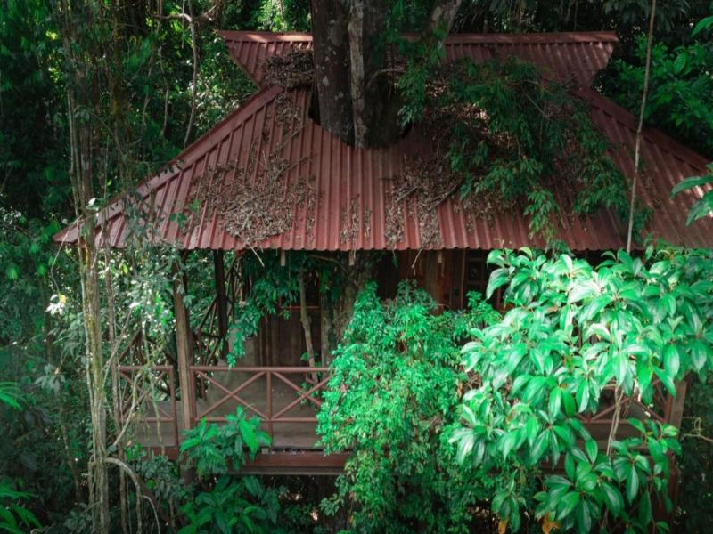 Maquenque Eco lodge image