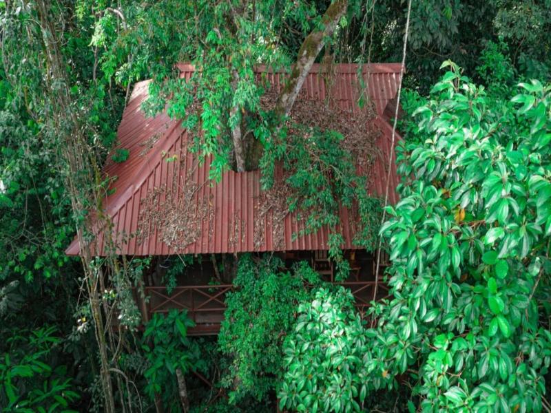 Maquenque Eco lodge image