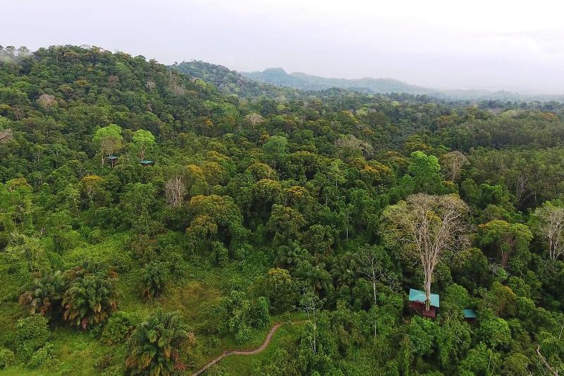 Maquenque Eco lodge image