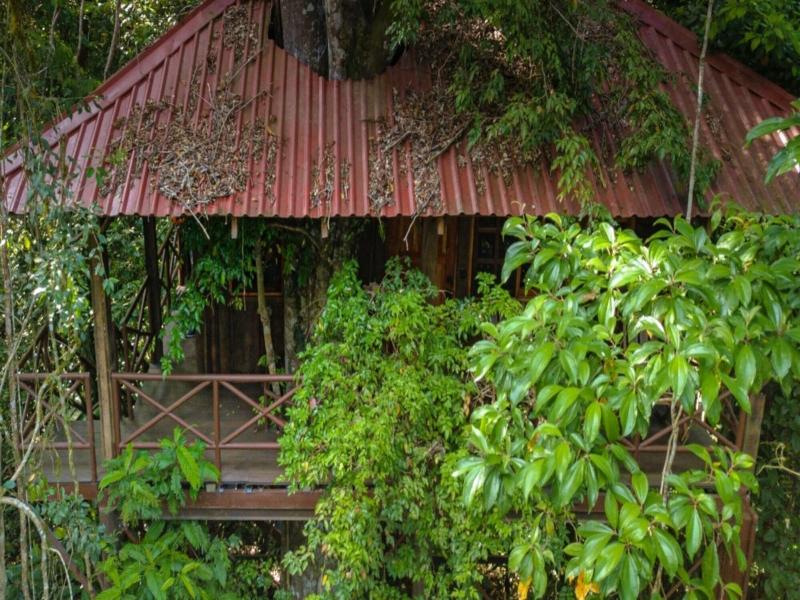 Maquenque Eco lodge image