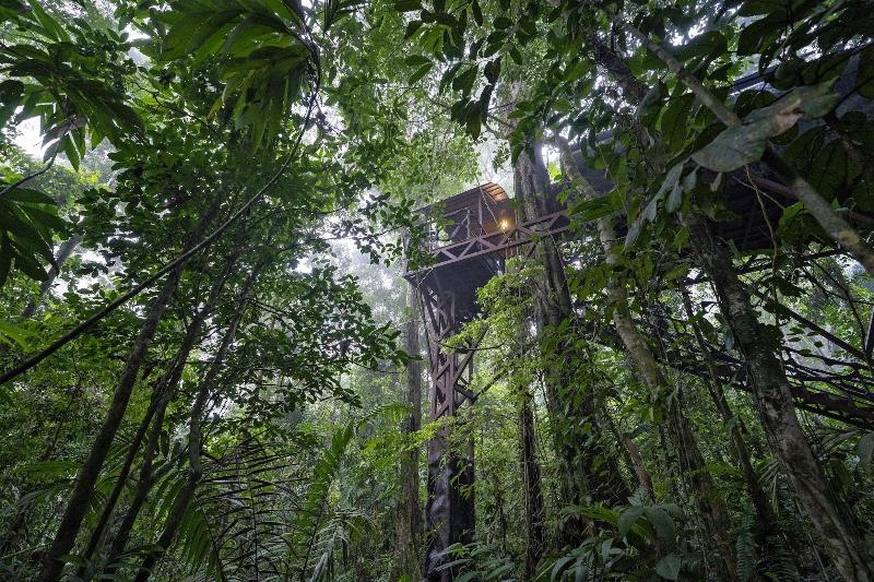 Maquenque Eco lodge image