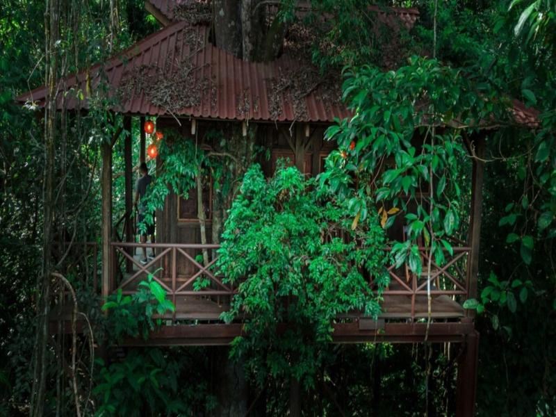 Maquenque Eco lodge image