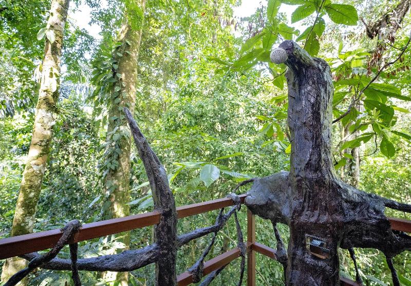 Maquenque Eco lodge image