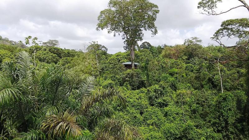 Maquenque Eco lodge image