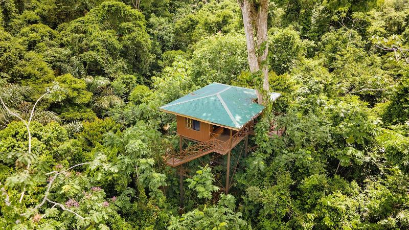 Maquenque Eco lodge image
