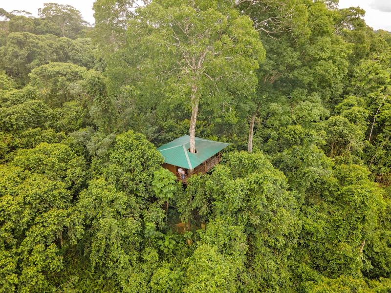 Maquenque Eco lodge image