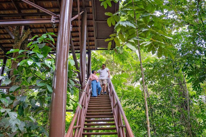 Maquenque Eco lodge image
