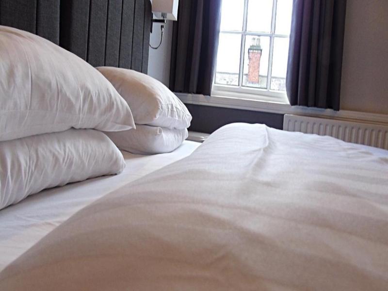 The Lion Hotel image