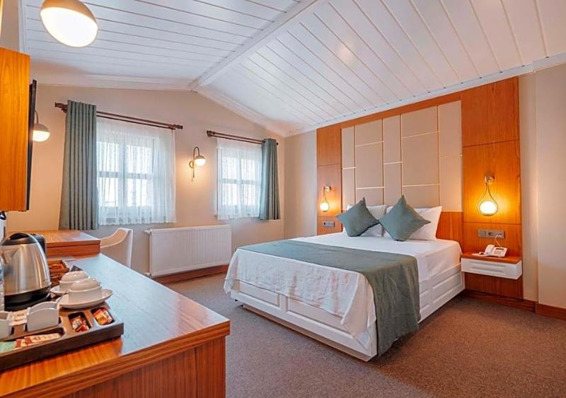 TS Park Hotel image