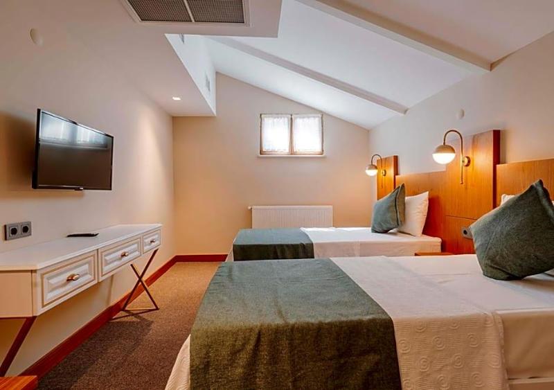 TS Park Hotel image