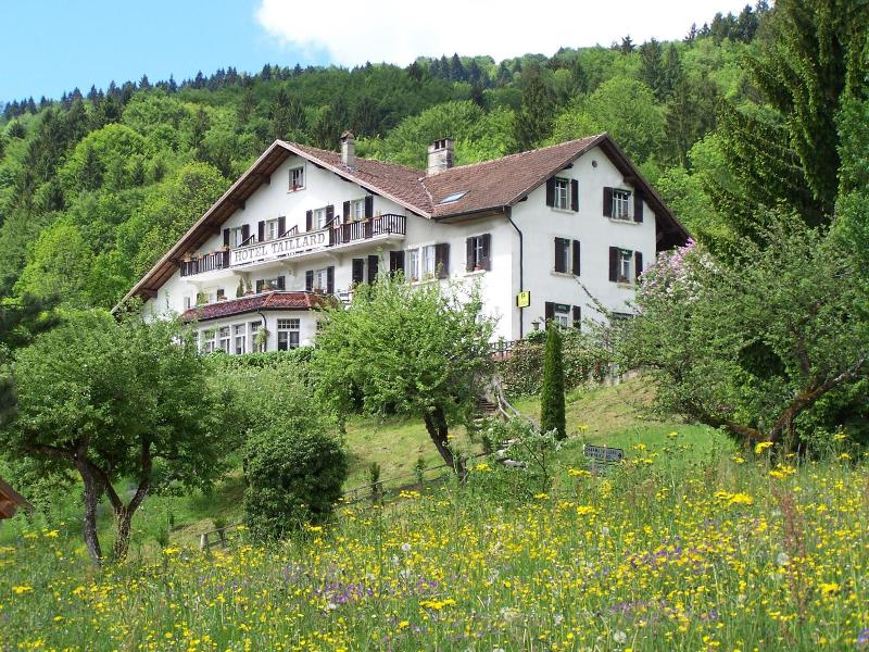 Hotel Taillard image