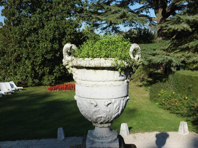 Château de Beaulieu Magnolia image