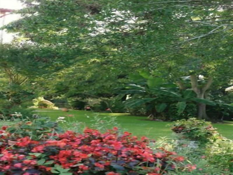 Hôtel Argi-Eder image