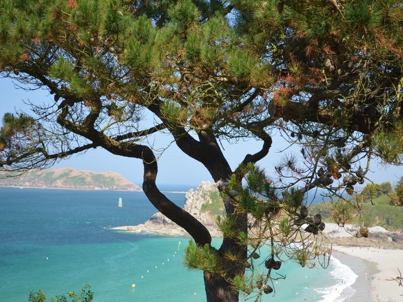 Hotel Les Costans image