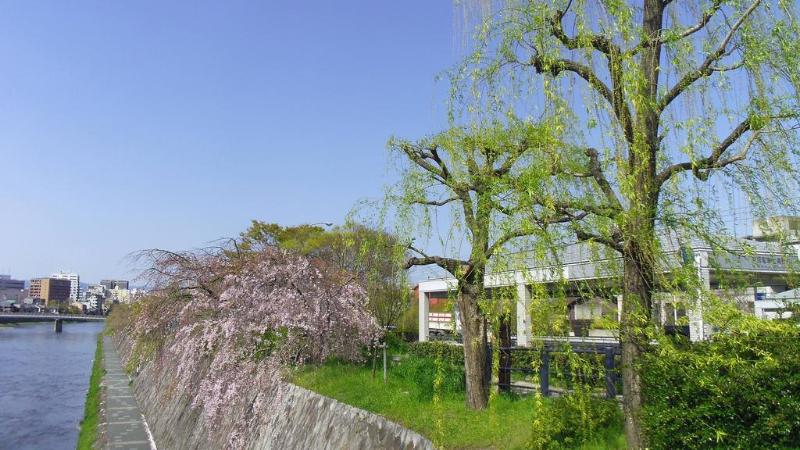 Fotos Hotel Ryokan Ohto