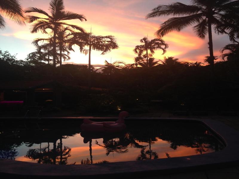 Pink Flamingo Resort image