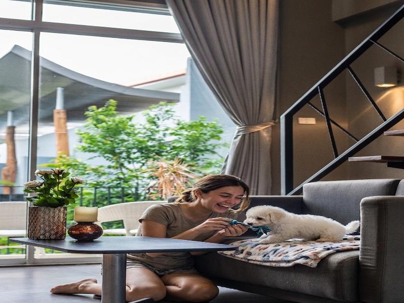 Paeva Luxury Serviced Residence SHA by ZUZU image
