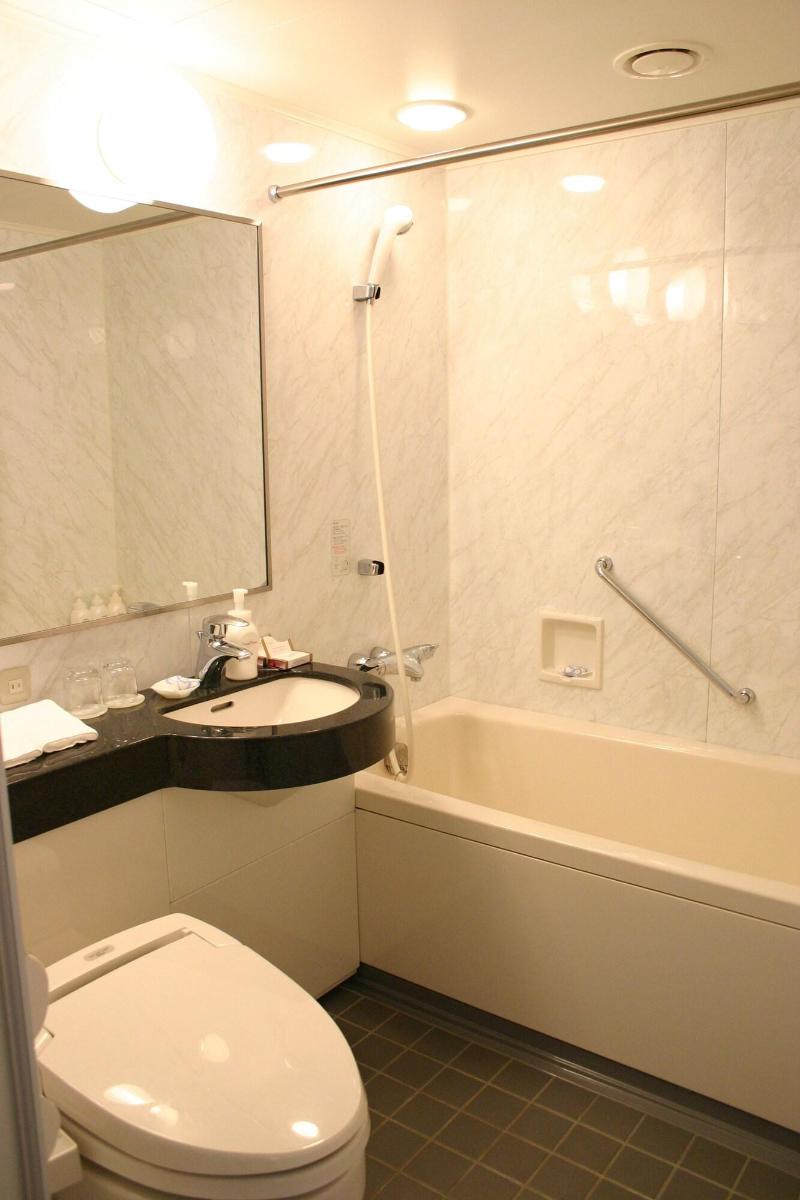 Hotel Nikko Tsukuba image