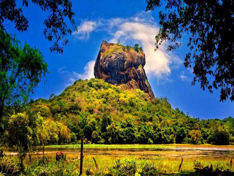 Oak Ray Fresco Water Villa - Sigiriya image