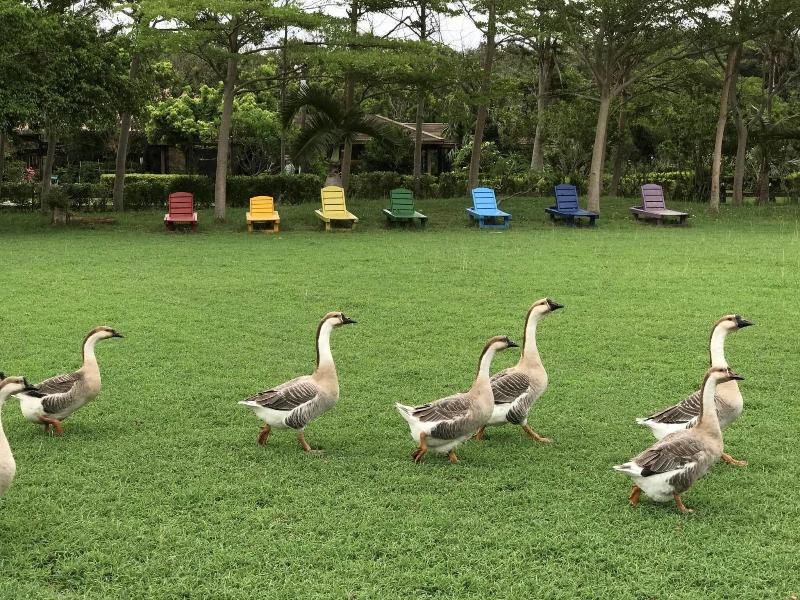 Kenting Tuscany Resort image