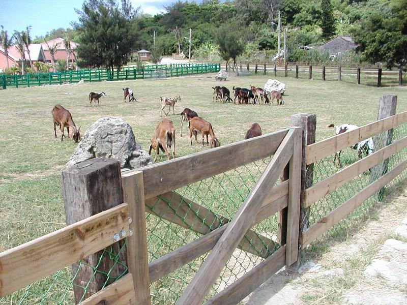 Kenting Tuscany Resort image