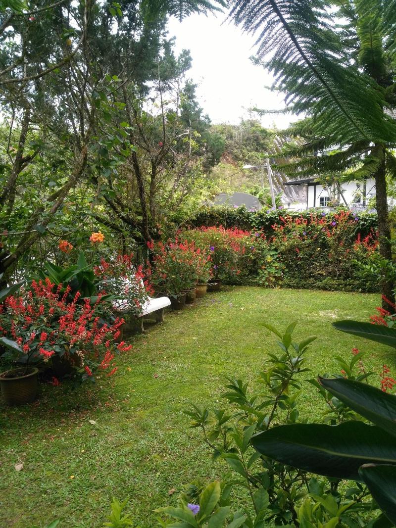 KRS Pines Guesthouse image