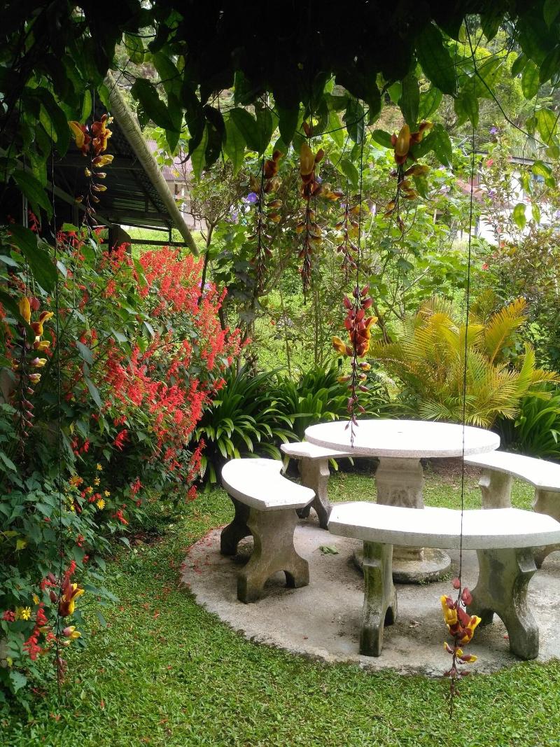 KRS Pines Guesthouse image