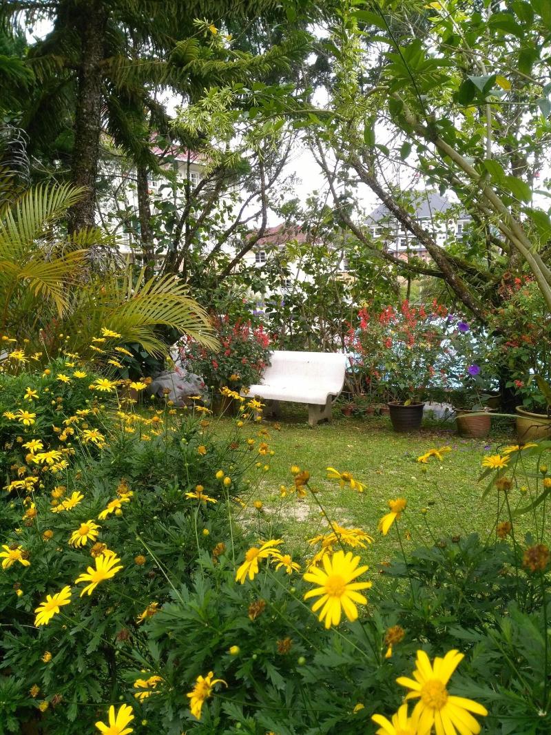 KRS Pines Guesthouse image