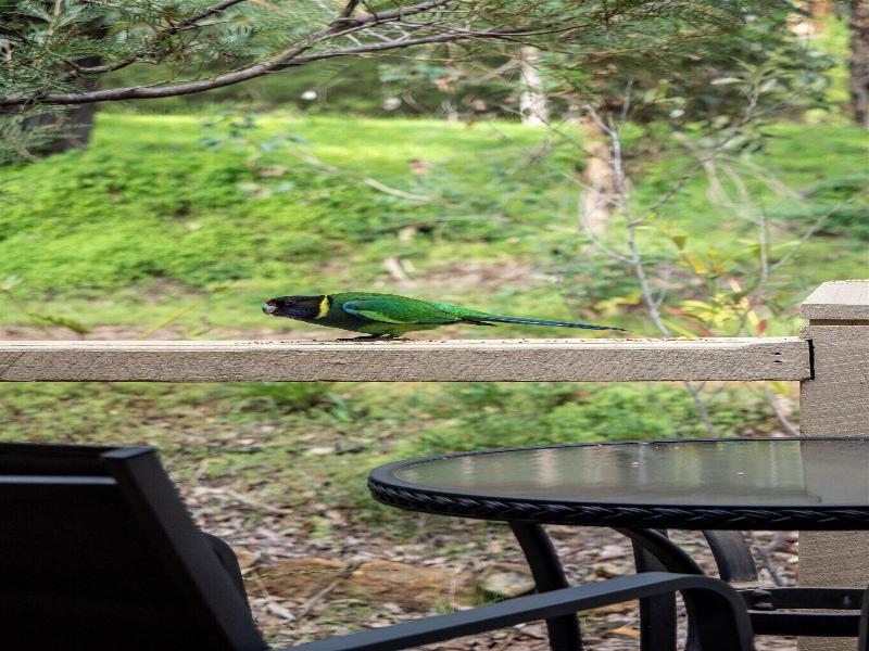 Heritage Trail Lodge